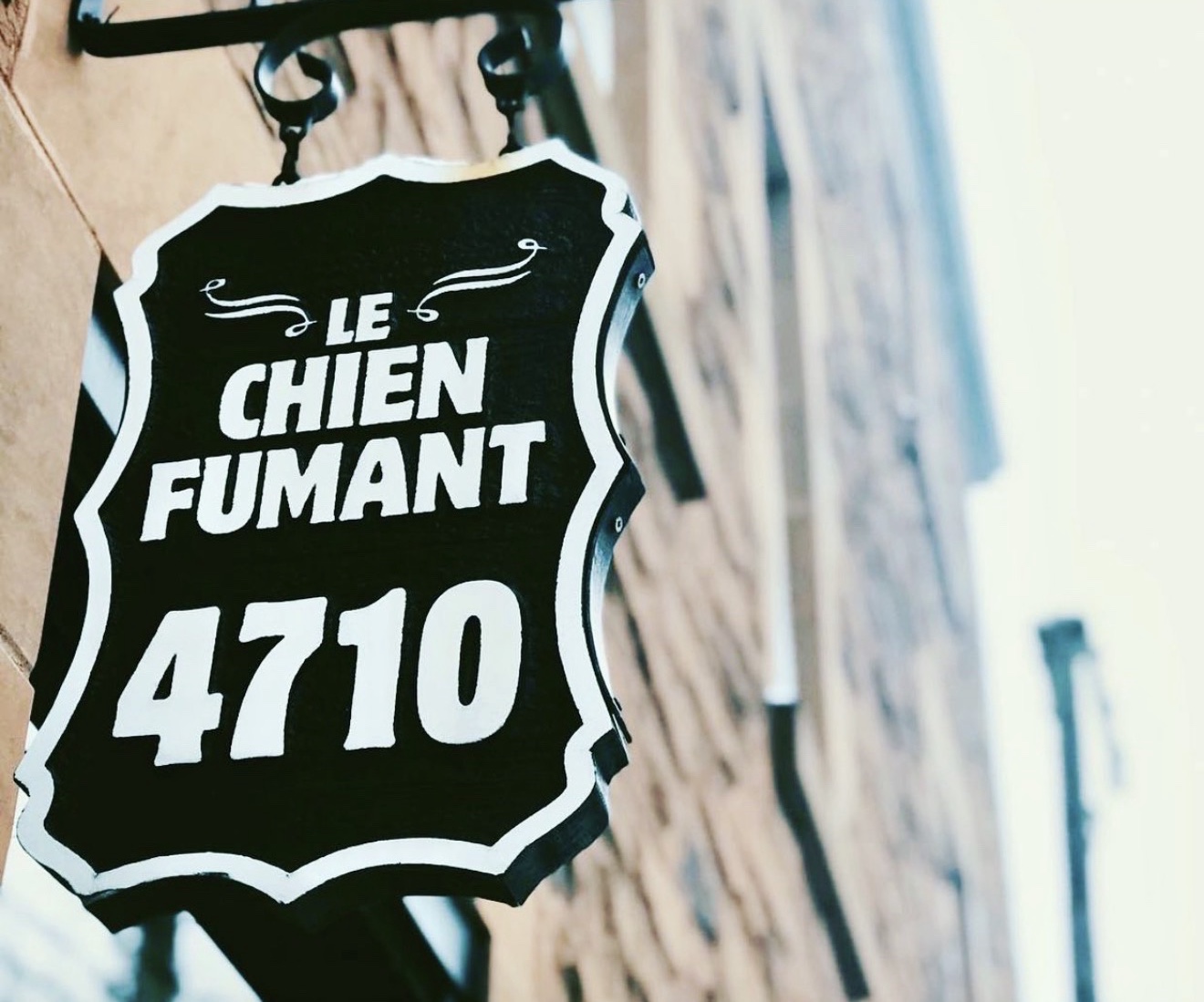le chien fumant