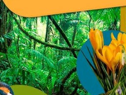 https://firebasestorage.googleapis.com/v0/b/waleemah-befc1.firebasestorage.app/o/restaurants_images%2F7i4oXkk4r2gXOpbHfUoTGBsN9lu2.jpg?alt=media&token=eb1626c0-a8d6-43fa-baa8-d2302550caf8