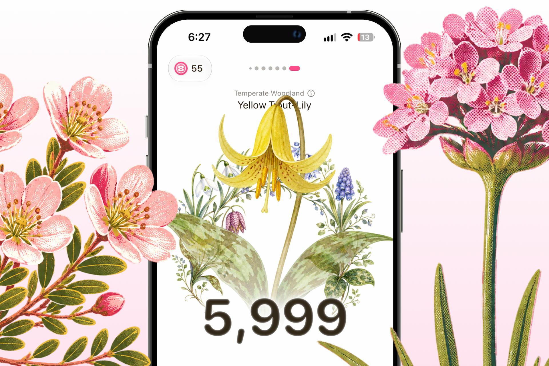 Walk Flower on iPhone: a Yellow Trout-Lily bloomed at 5,999 steps, framed by pink flowers