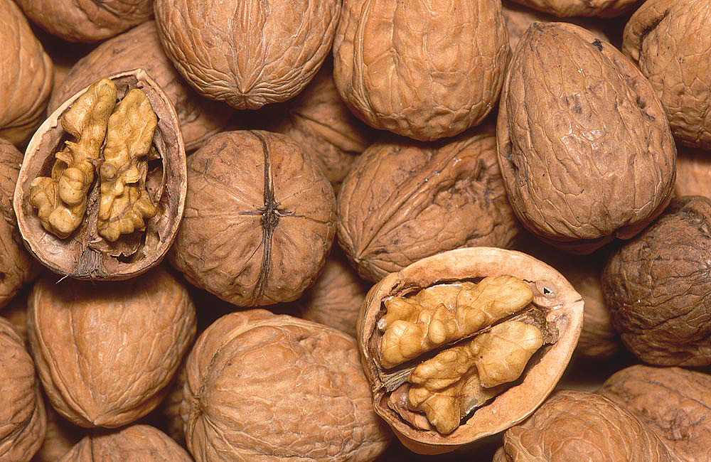 Parte interna del fruto que engloba la semilla