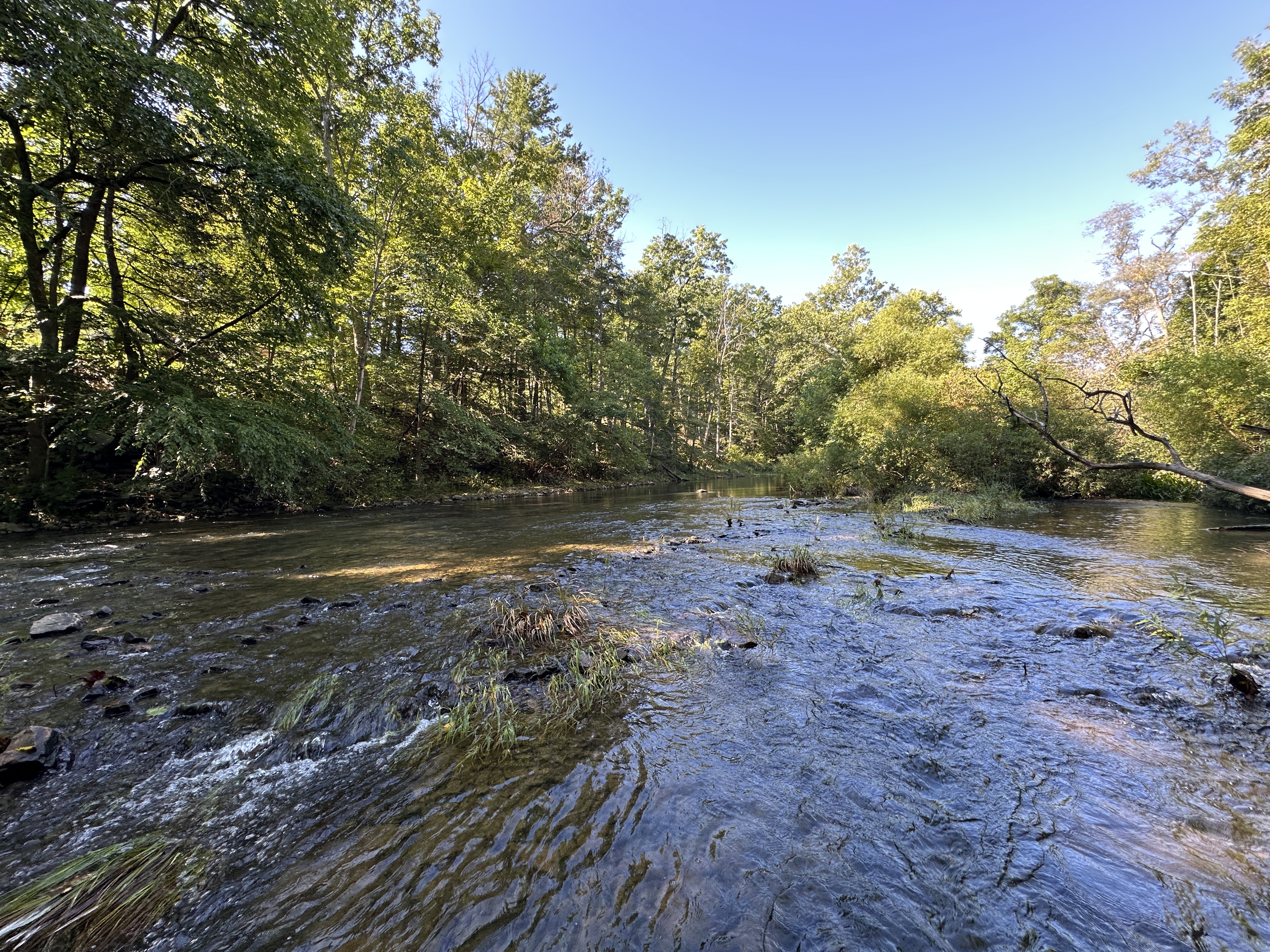Bald Eagle Creek — Julian Bridge Access photo 2