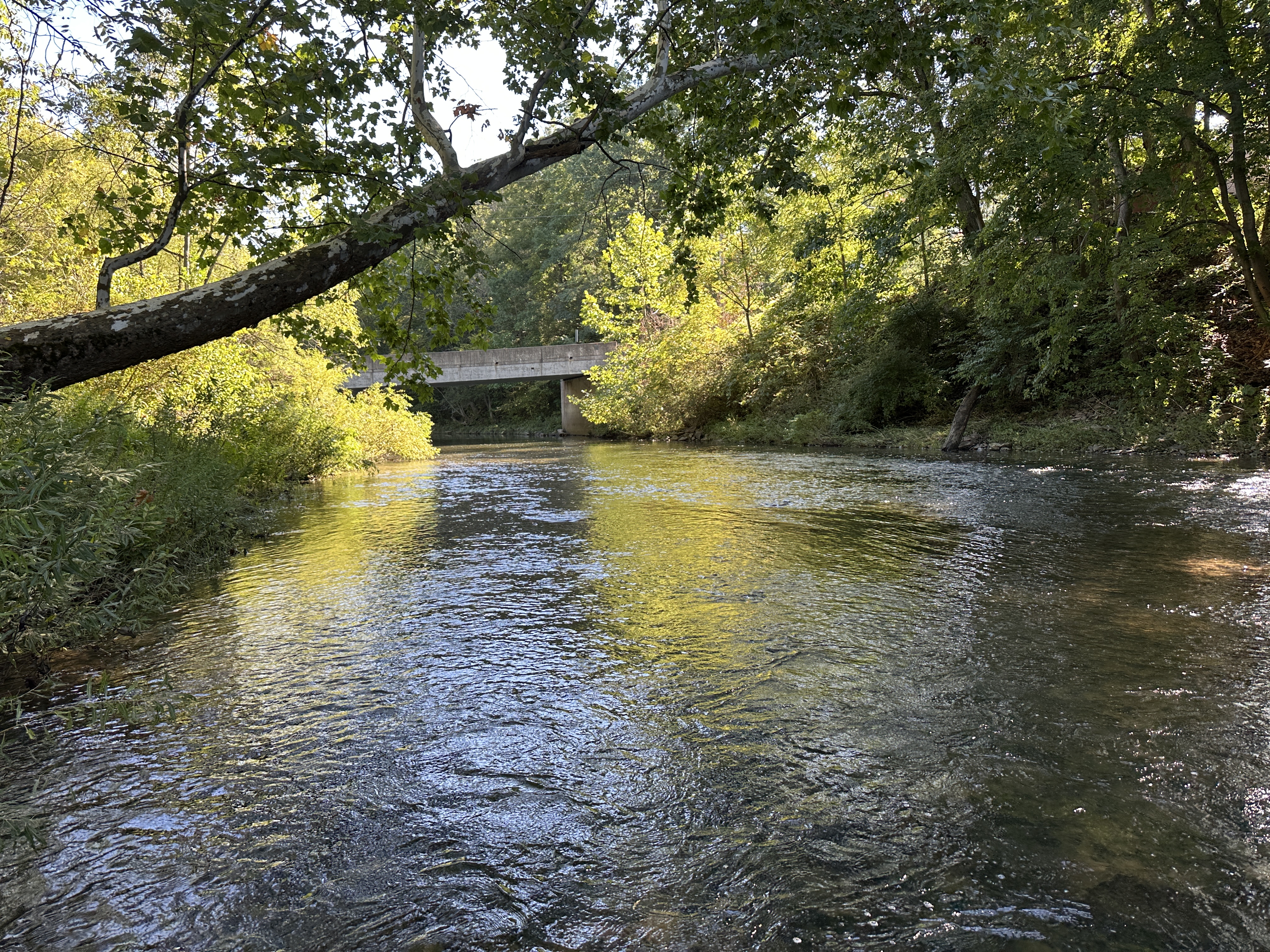 Bald Eagle Creek — Julian Bridge Access