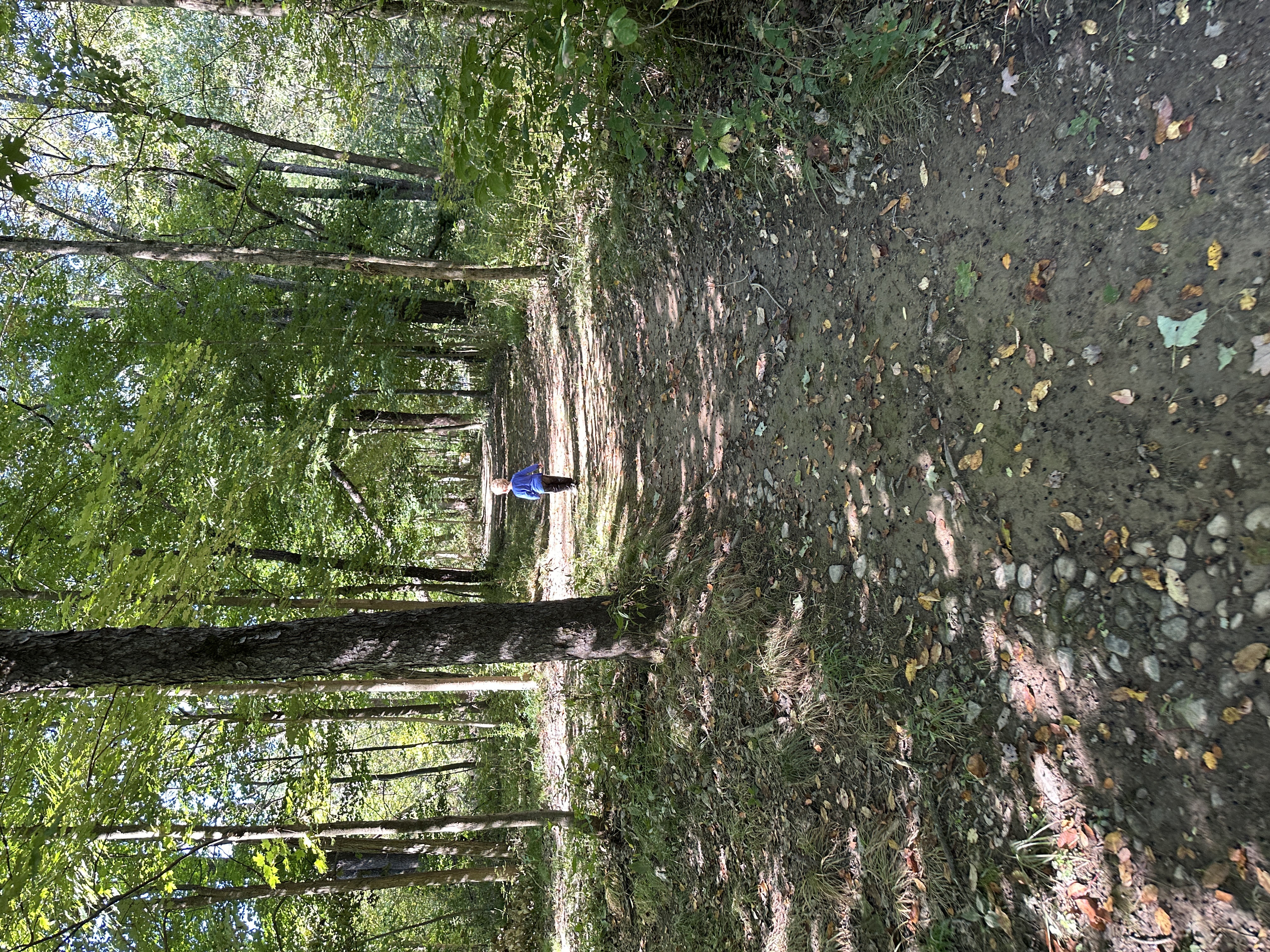 Julian Bridge Trail