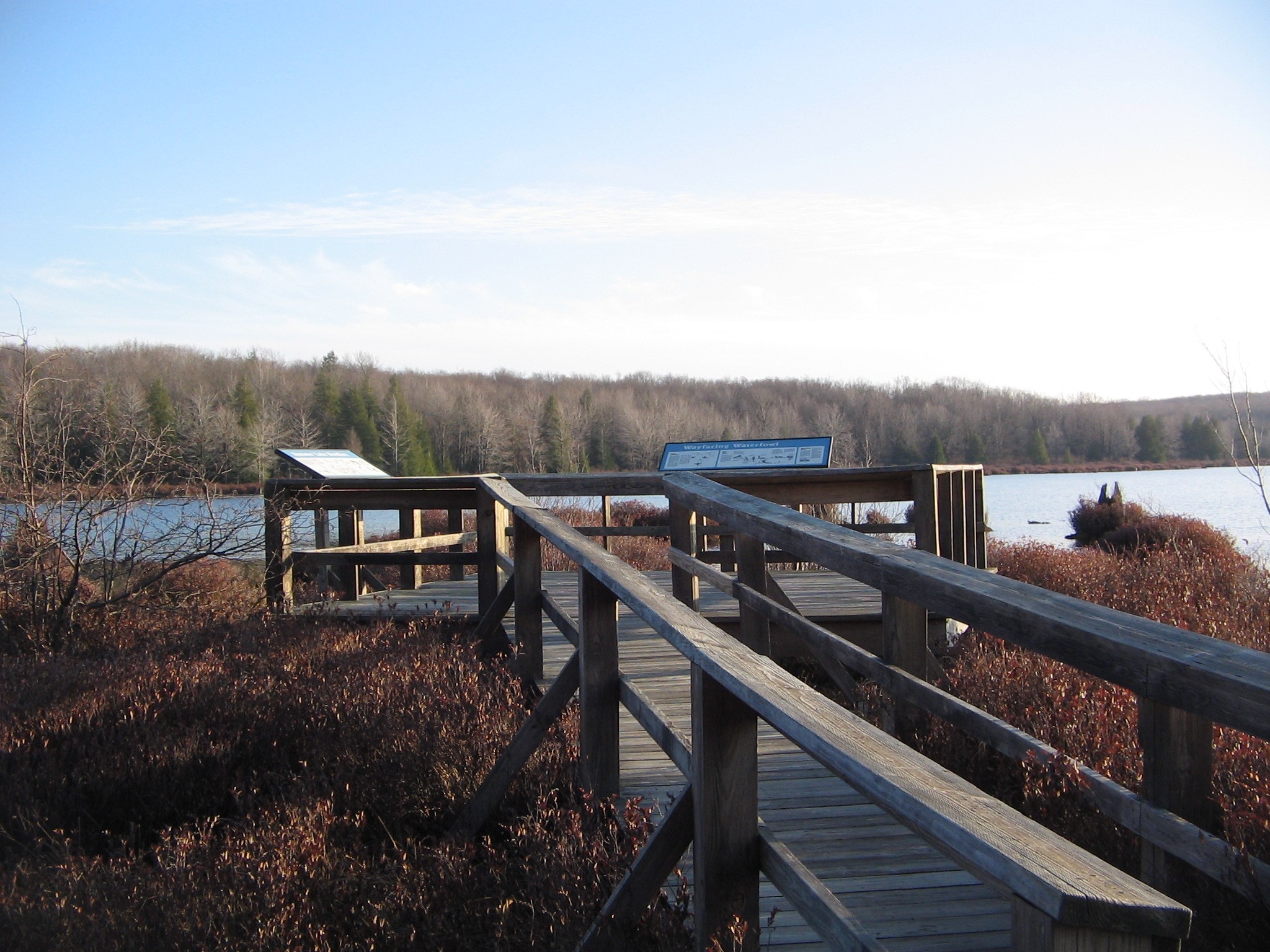 Black Moshannon Bog Trail — viewing platform