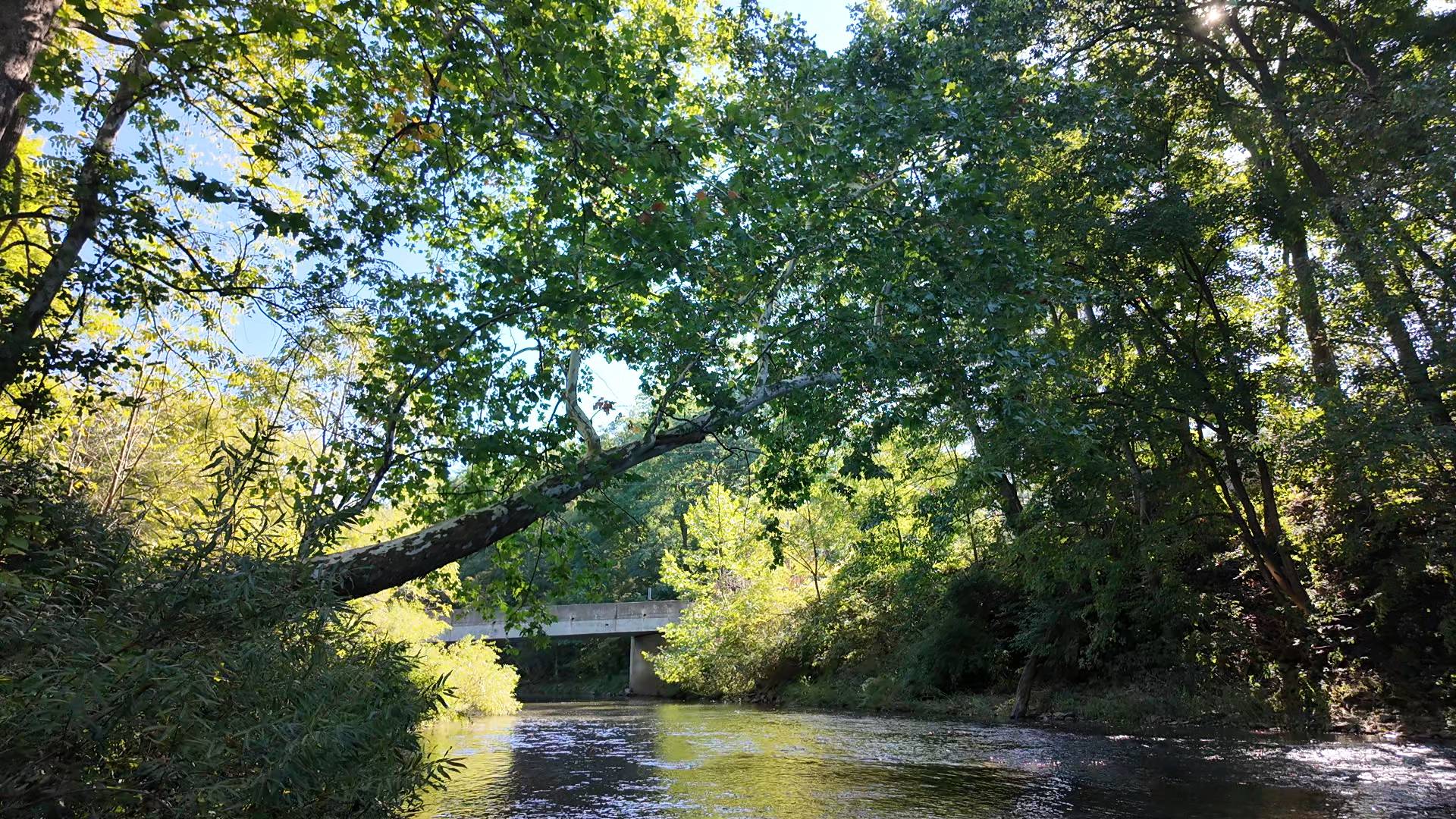Bald Eagle Creek