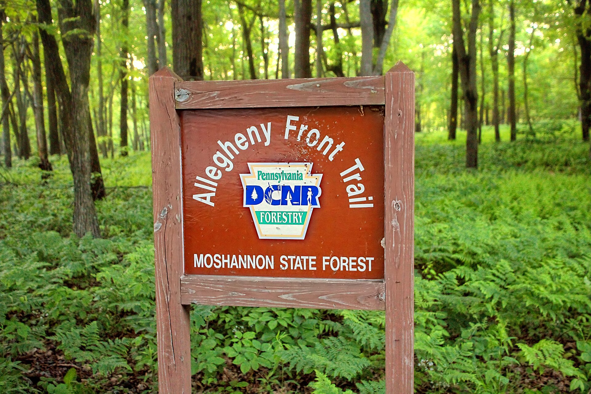 Allegheny Front Trail