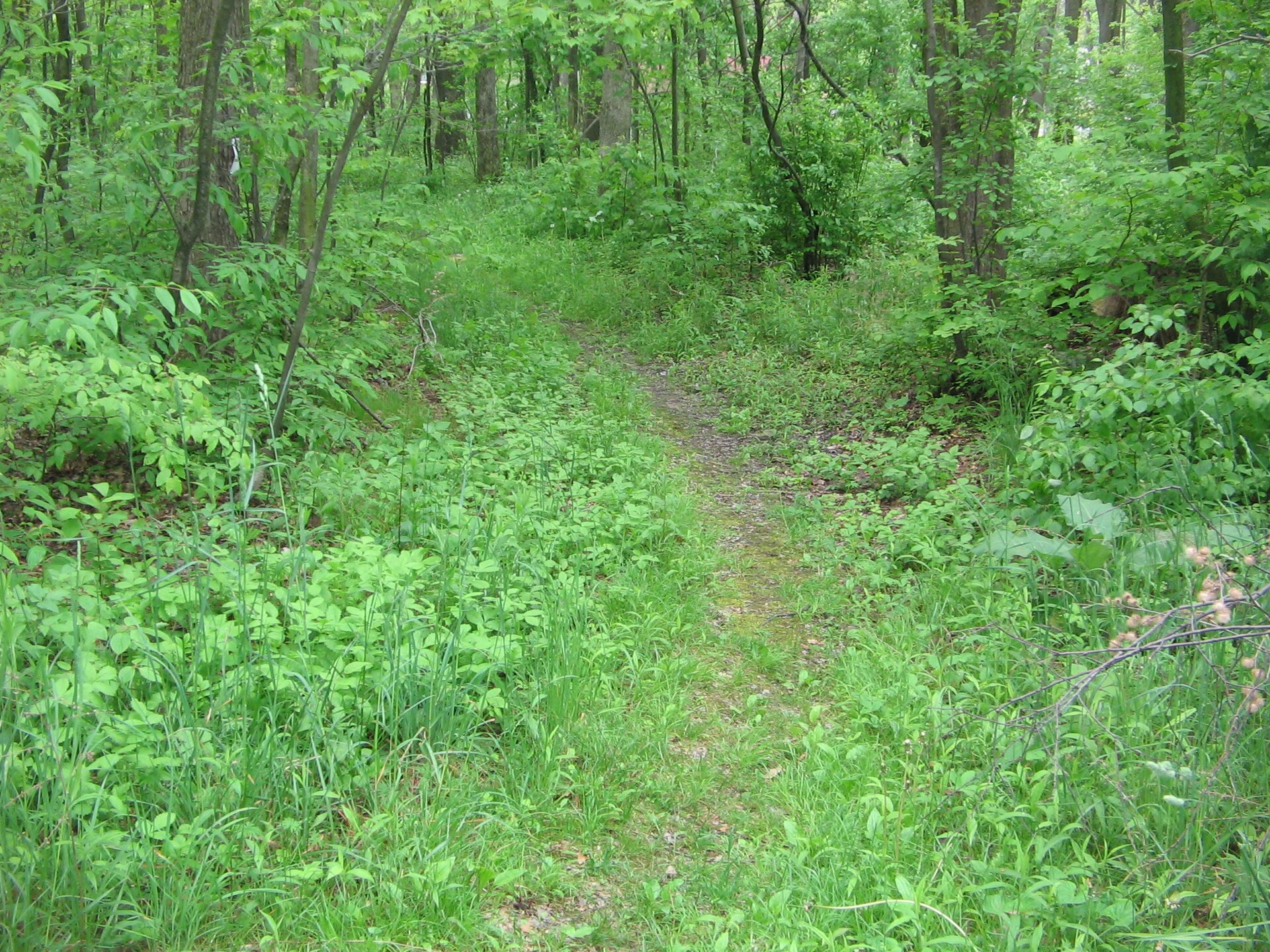 Hay Road Trail
