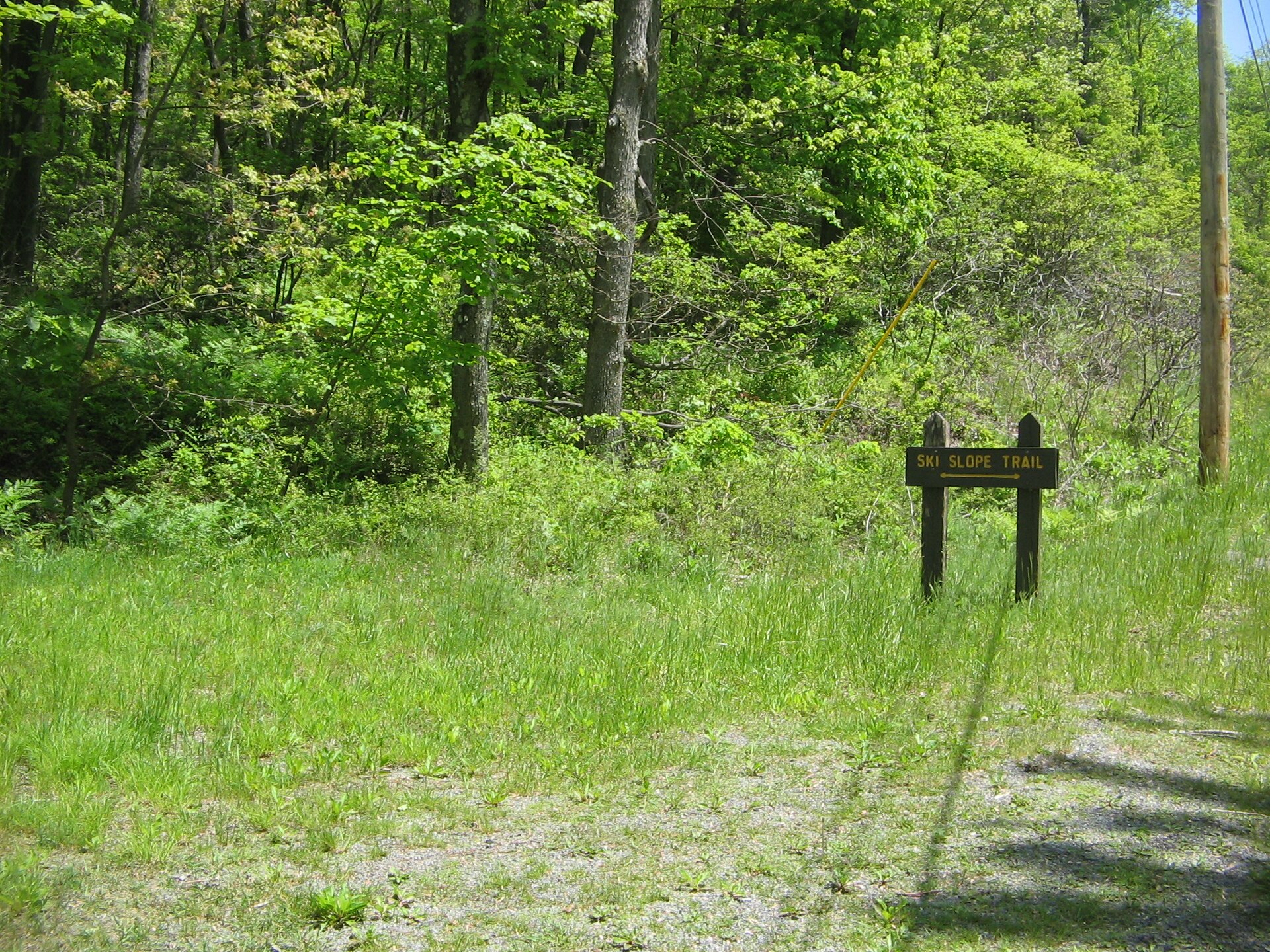 Ski Slope Trail