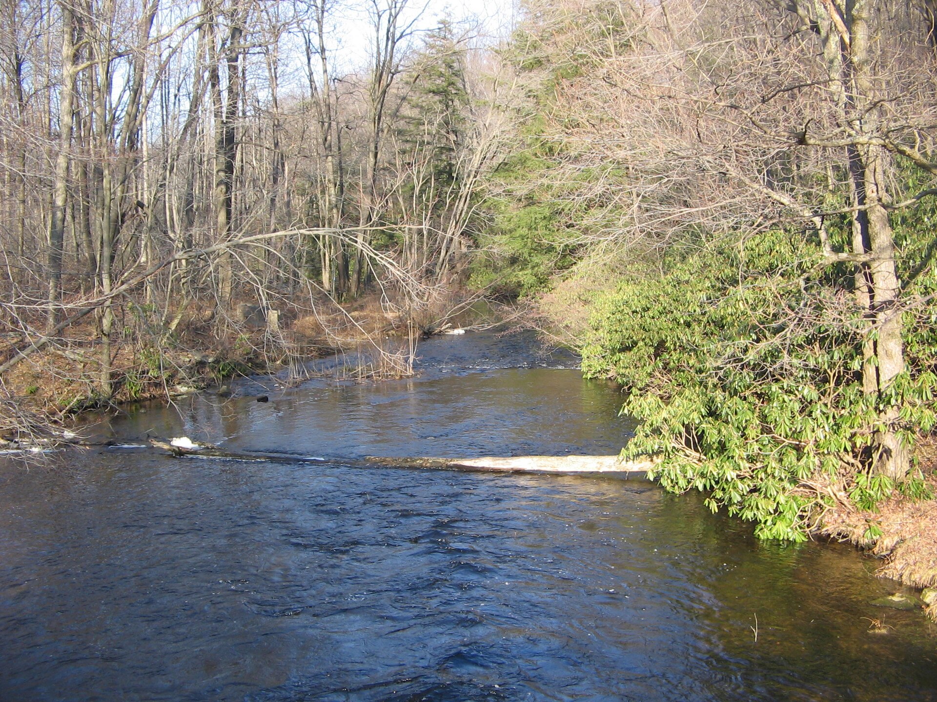 Shingle Mill Trail