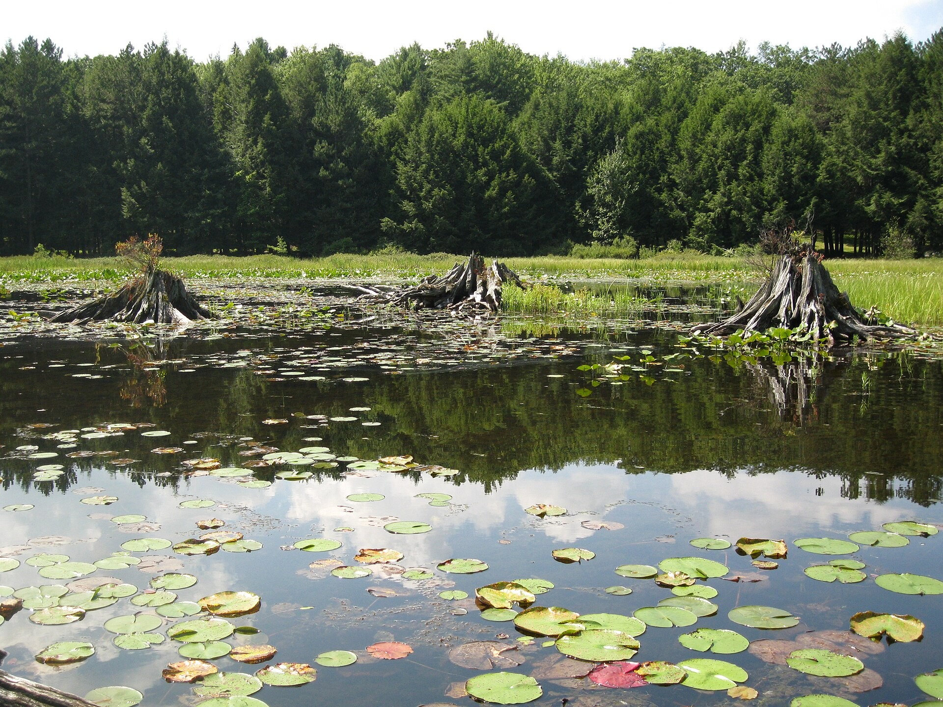 Seneca Trail