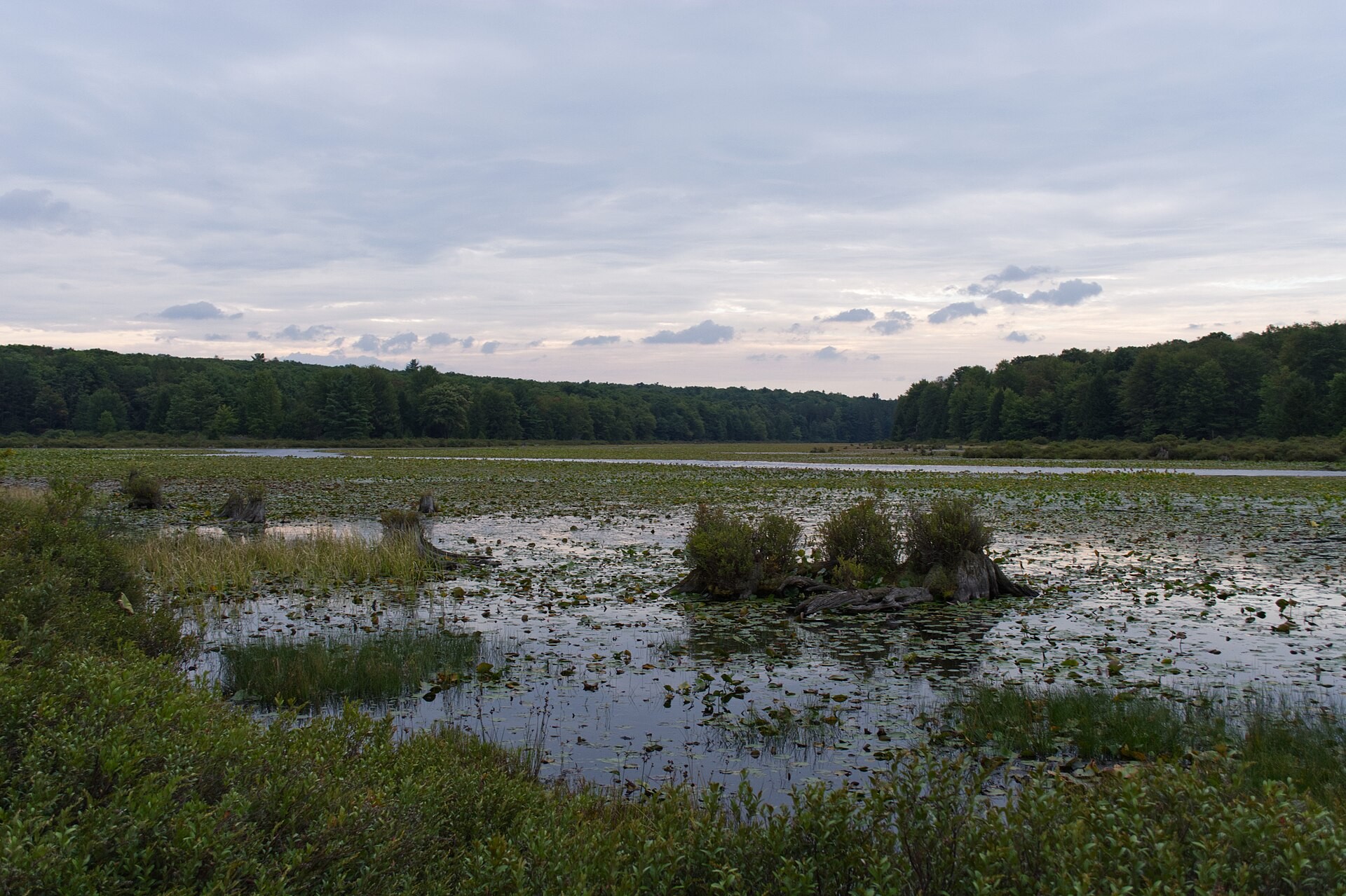 Tent Hill Trail