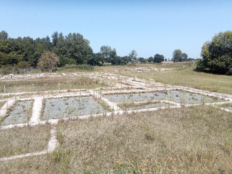 Villa gallo-romaine des faluns