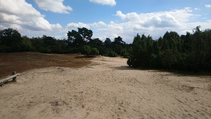 Westruper Heide
