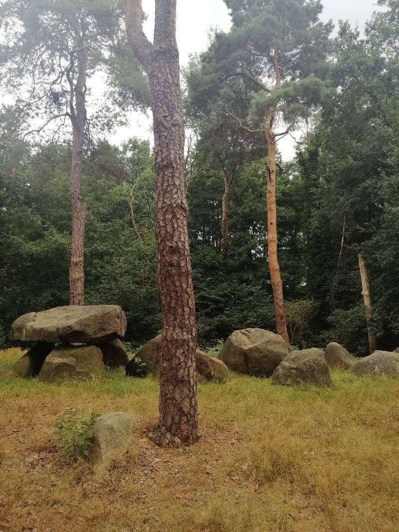Devils stones, street of megalithic culture 1a — photo 2