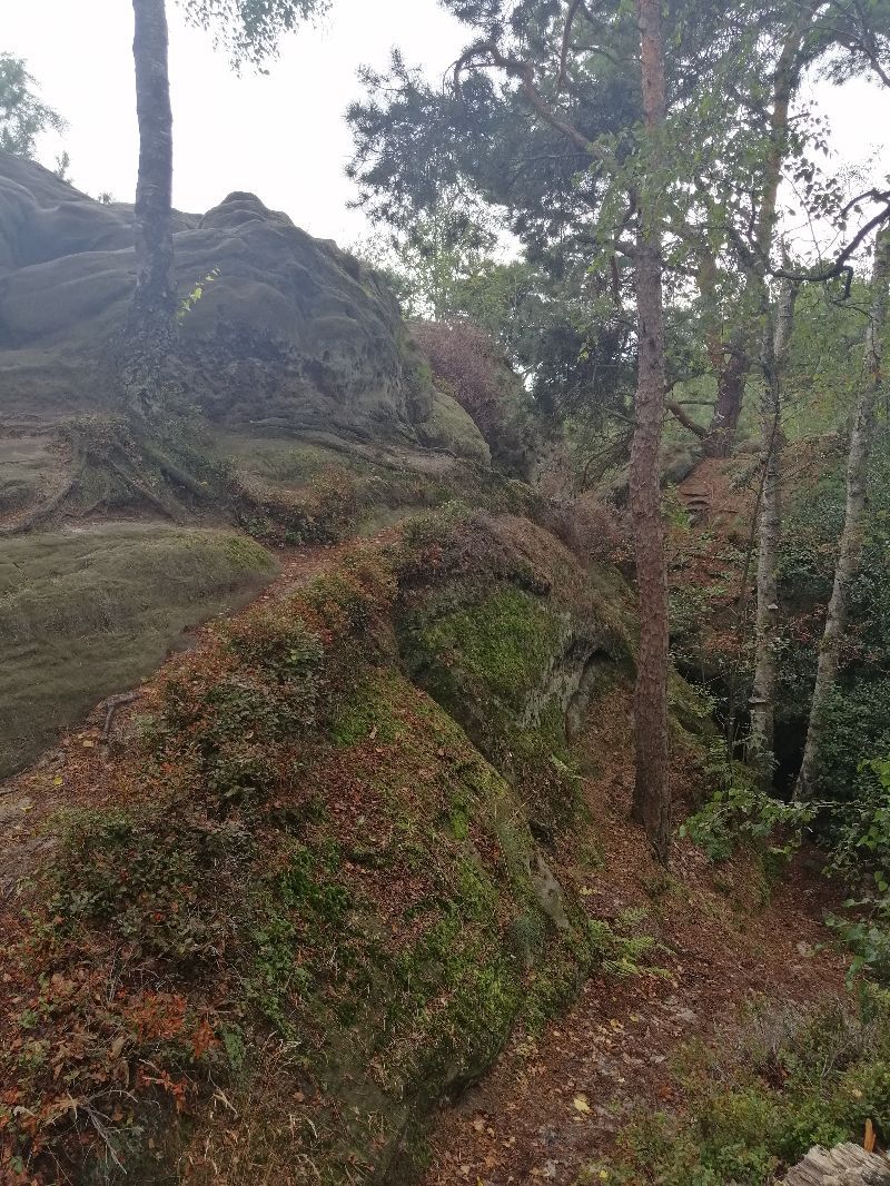 Dörenther Klippen — photo 4