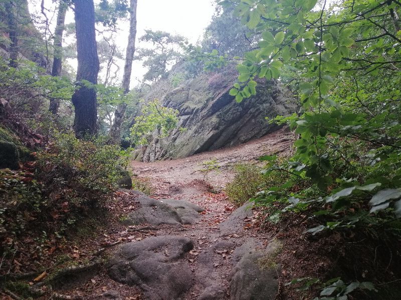 Dörenther Klippen — photo 5