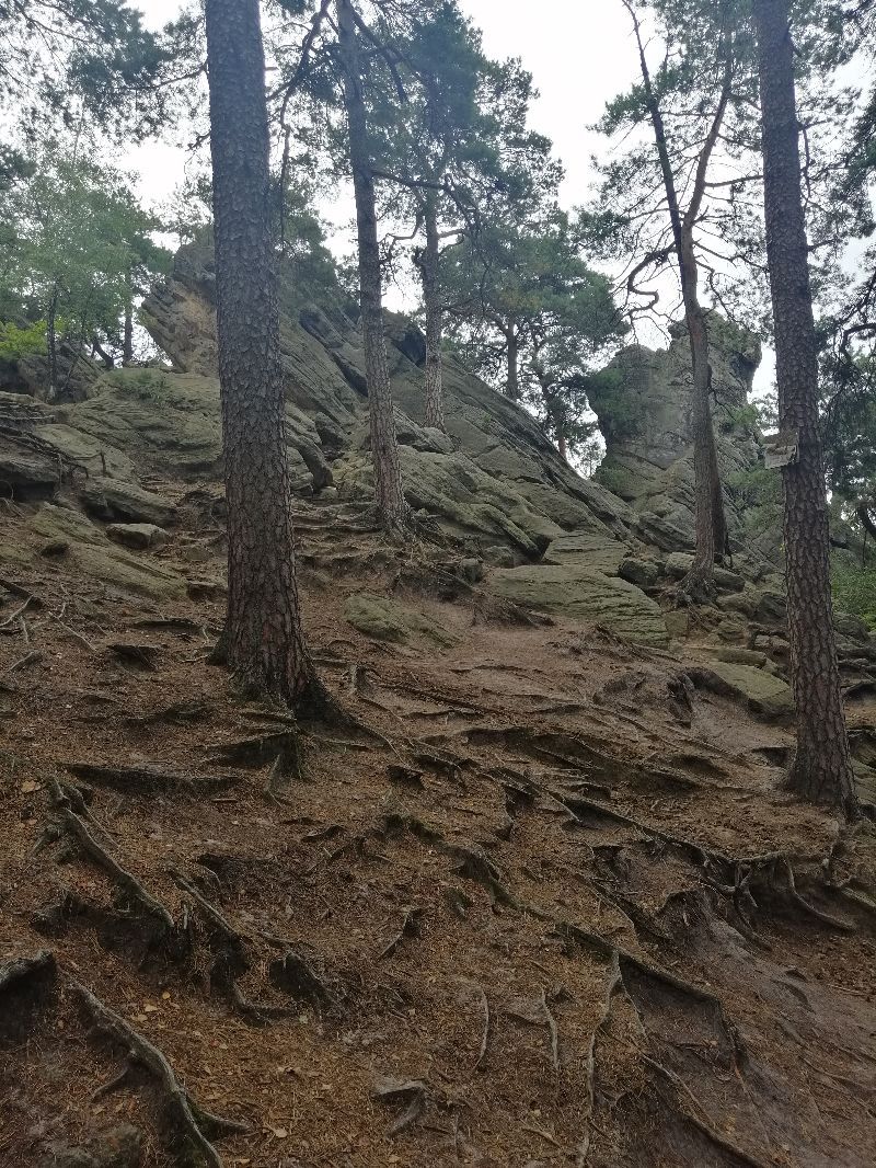 Dörenther Klippen — photo 3