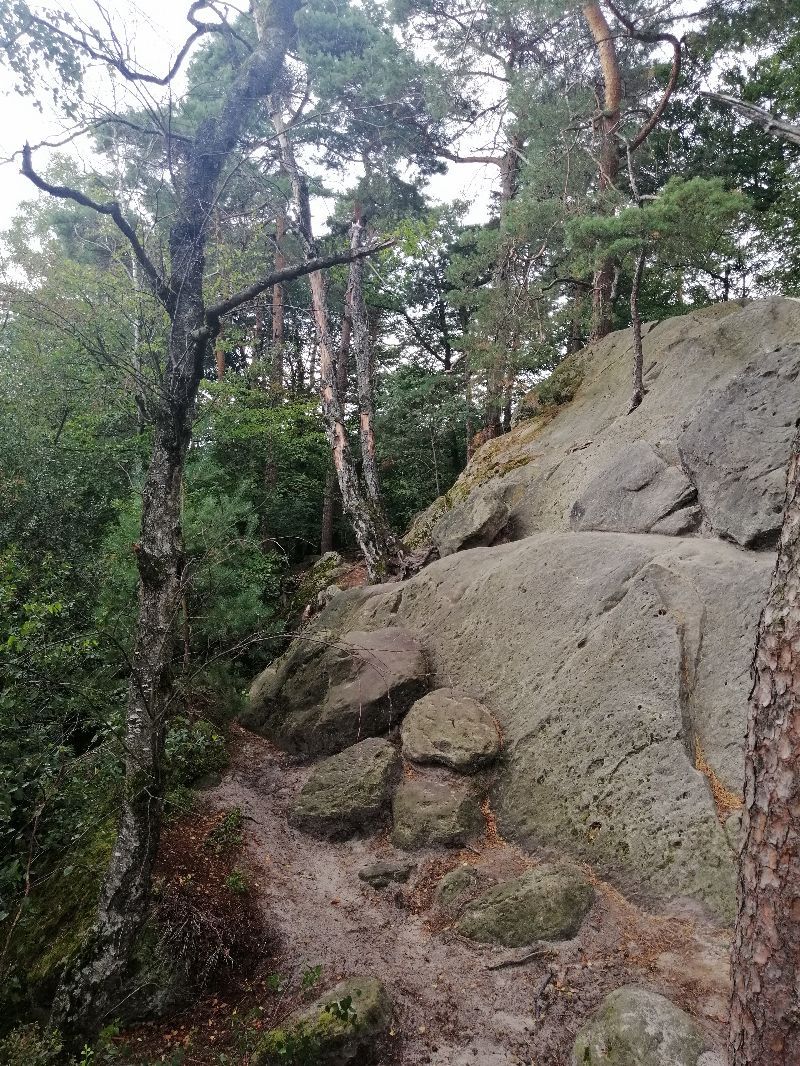 Dörenther Klippen — photo 6