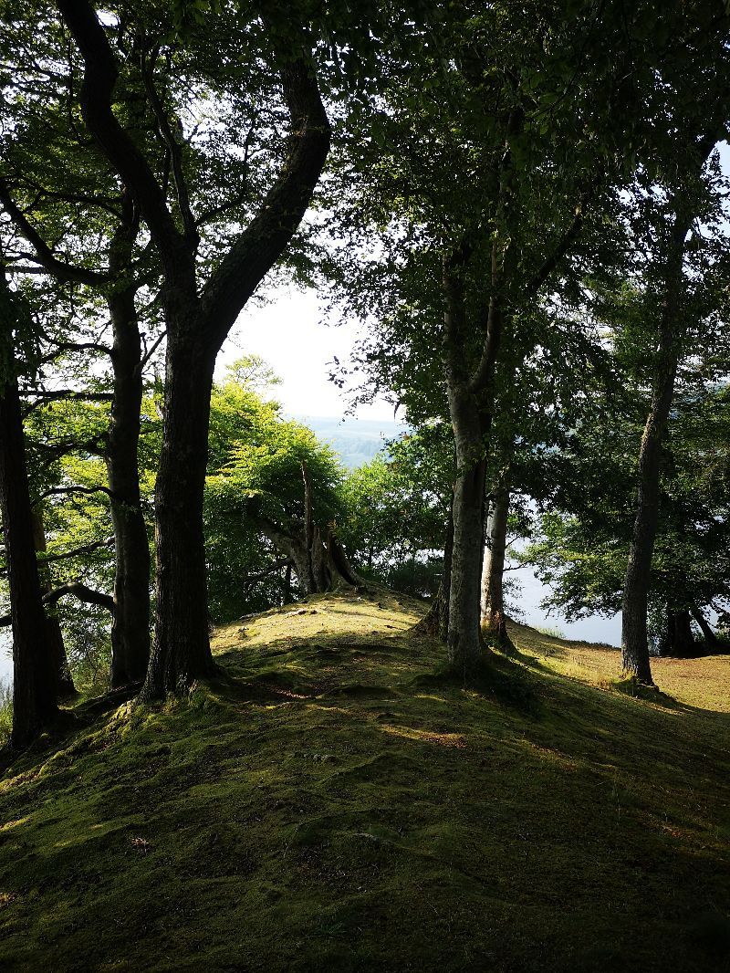Lac de menteith — photo 4