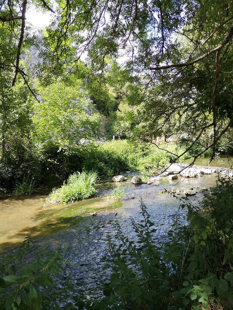 Les grottes de Saulges — photo 4