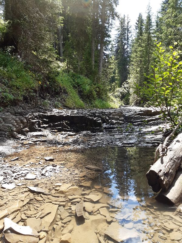Sentier nature au plateau des Glières — photo 2