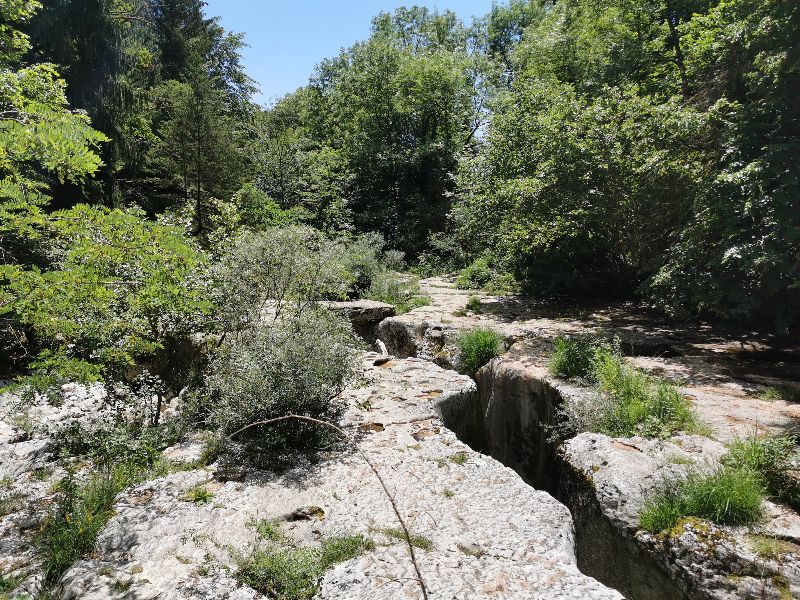 Le repos de Van — photo 2