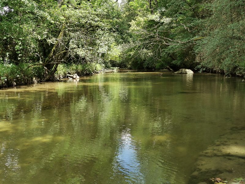 Le repos de Van — photo 4