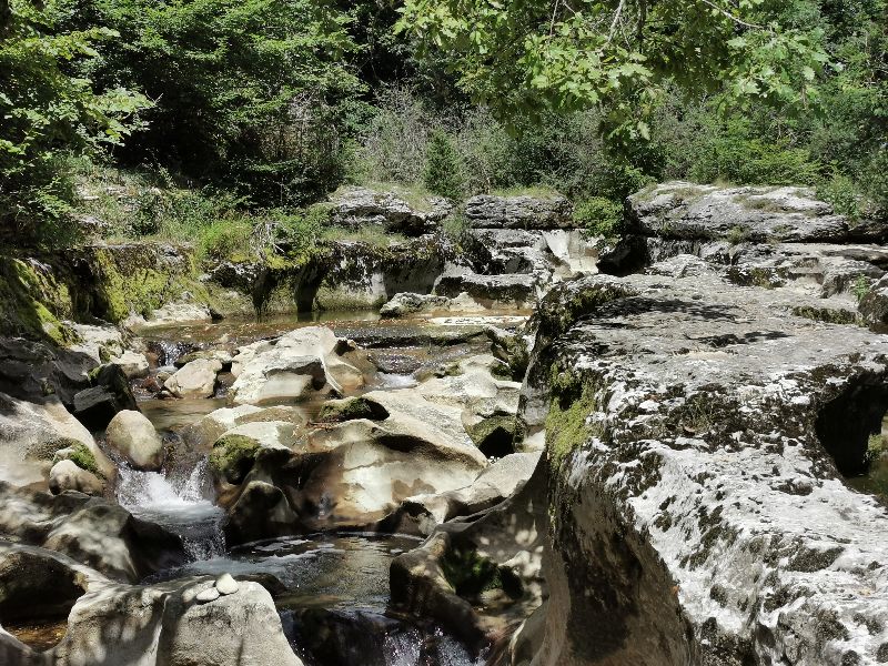 Le repos de Van — photo 3