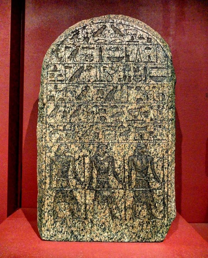 World Museum Liverpool — photo 10