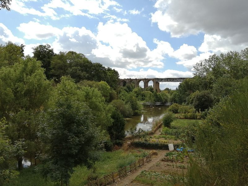 Promenade le long du Thouet — photo 3
