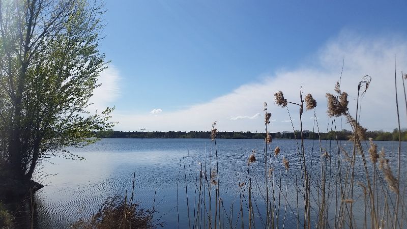 Les rives d'Arcins — photo 3