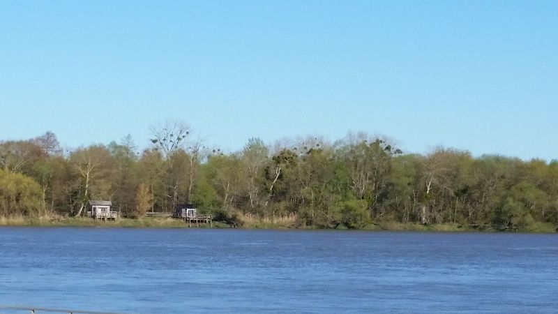 Les rives d'Arcins — photo 2