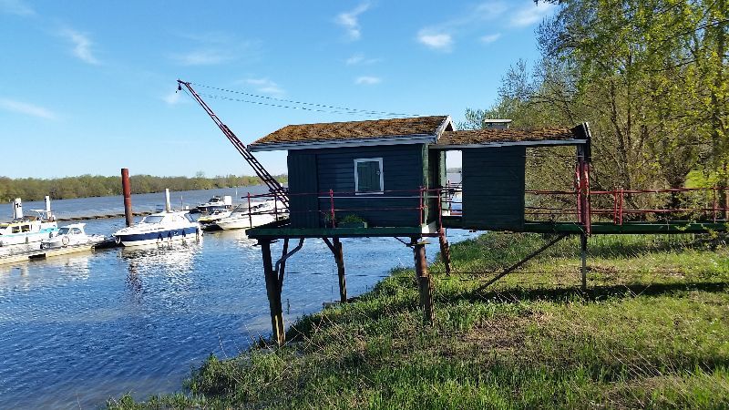 Les rives d'Arcins