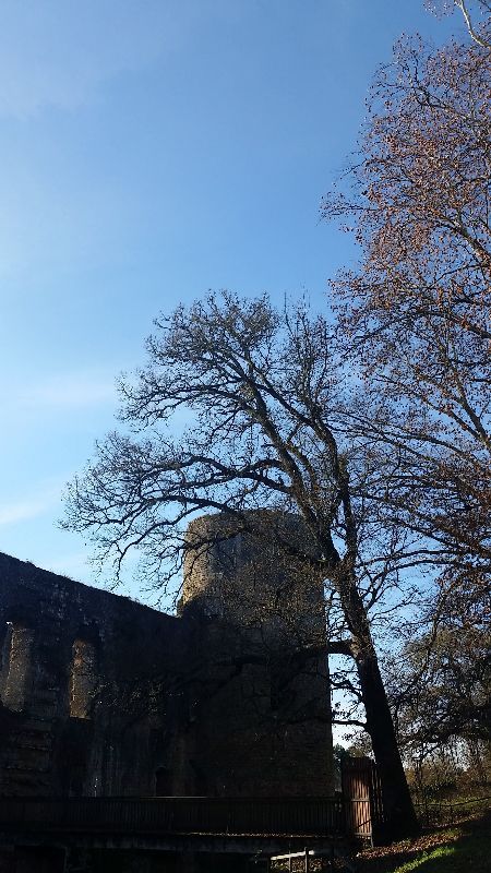 Château fort de Villandrault