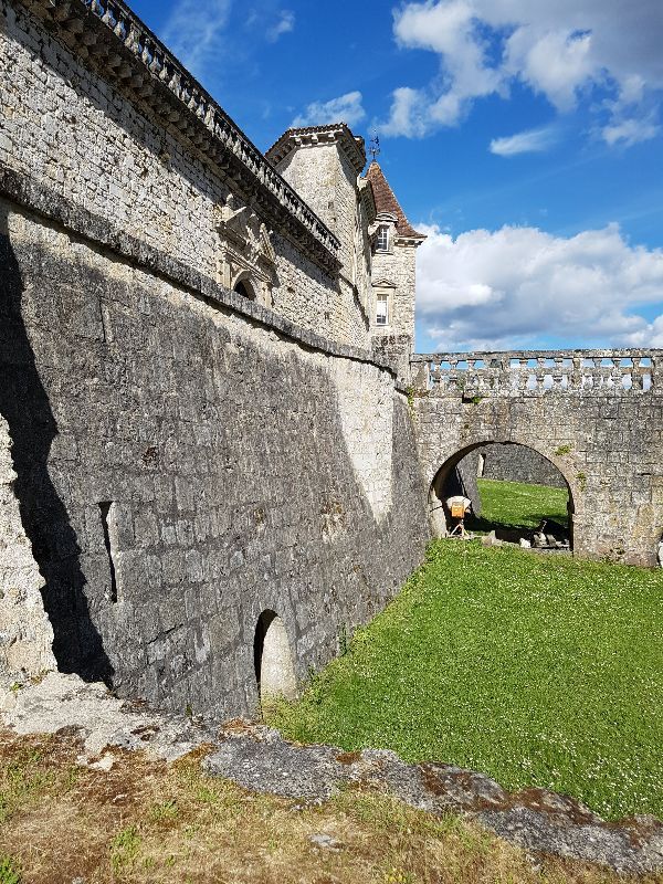 Château de Cazeneuve — photo 3