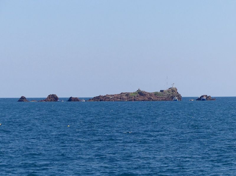 Le Lion de Mer