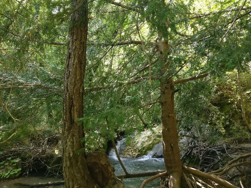 Cascade de Vescagnes — photo 2
