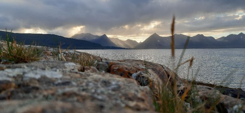 Kvæøya