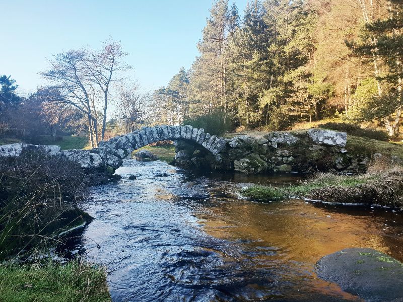 Pont de Sénoueix