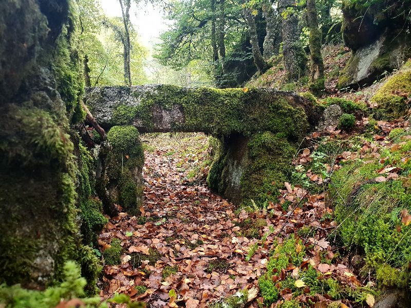 Tourbières de la Mazure
