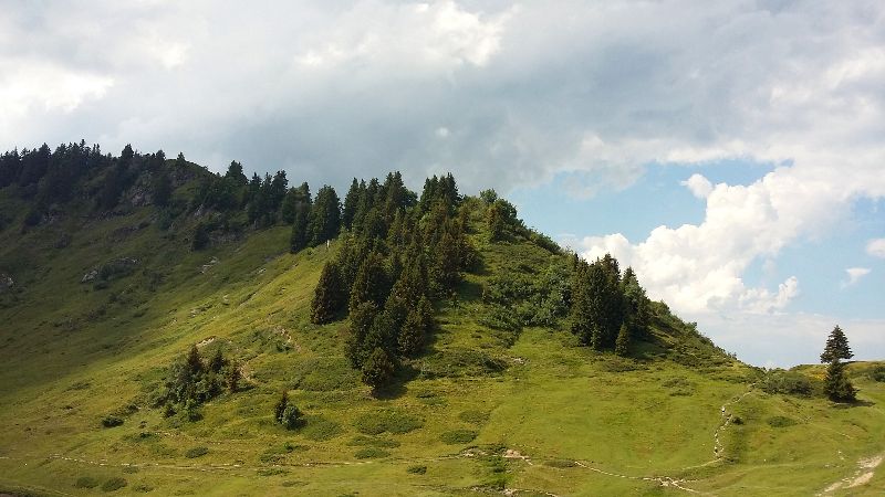 Col de Joux Plane