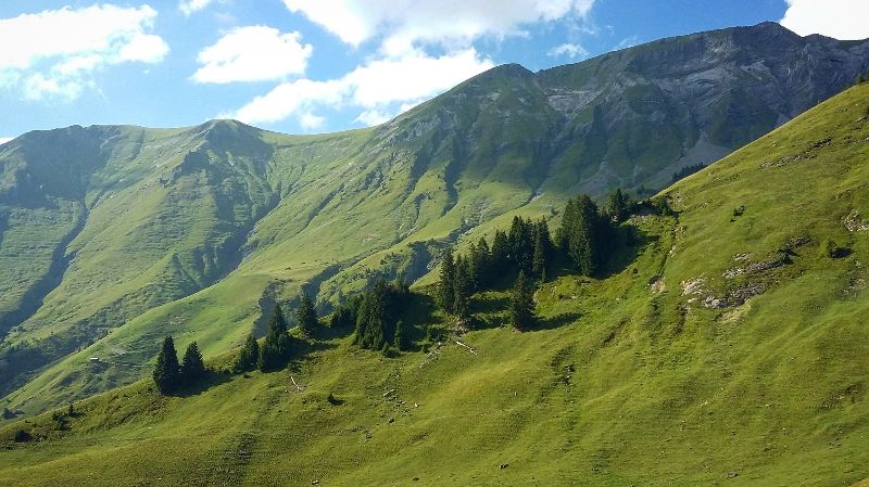 Alpages de Fréterolles