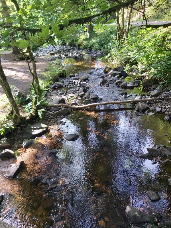 Îles Marie-louise — photo 2