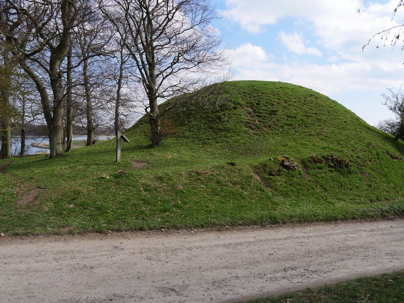 Kongehøj