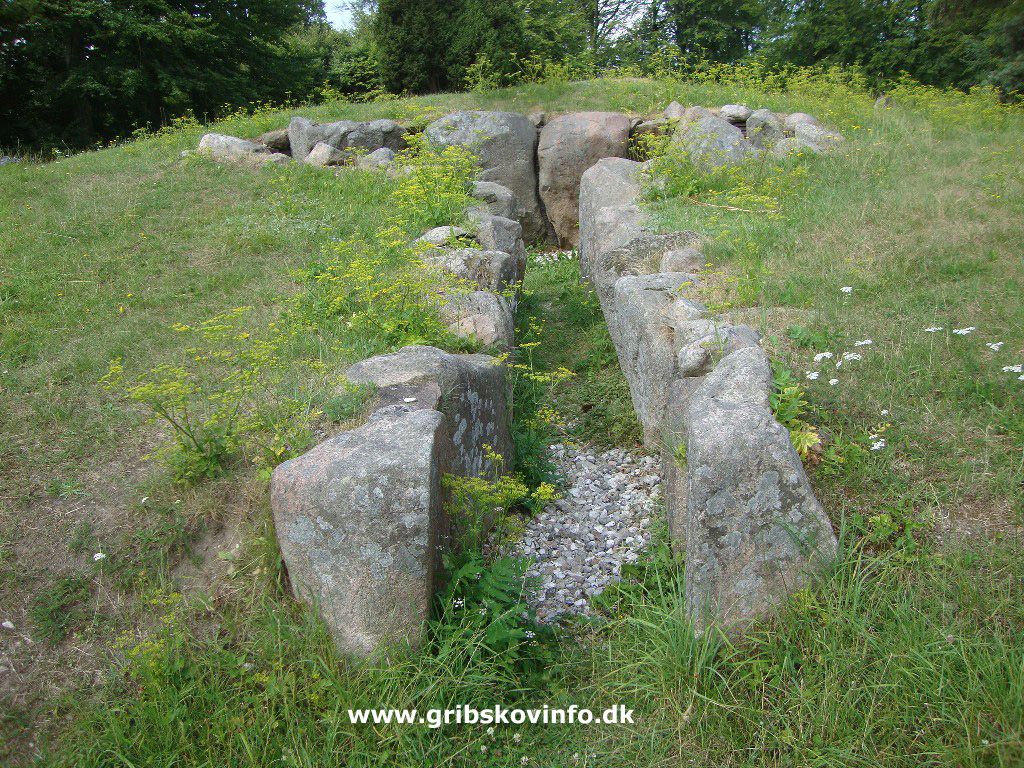 Mor Gribs Hule — photo 3