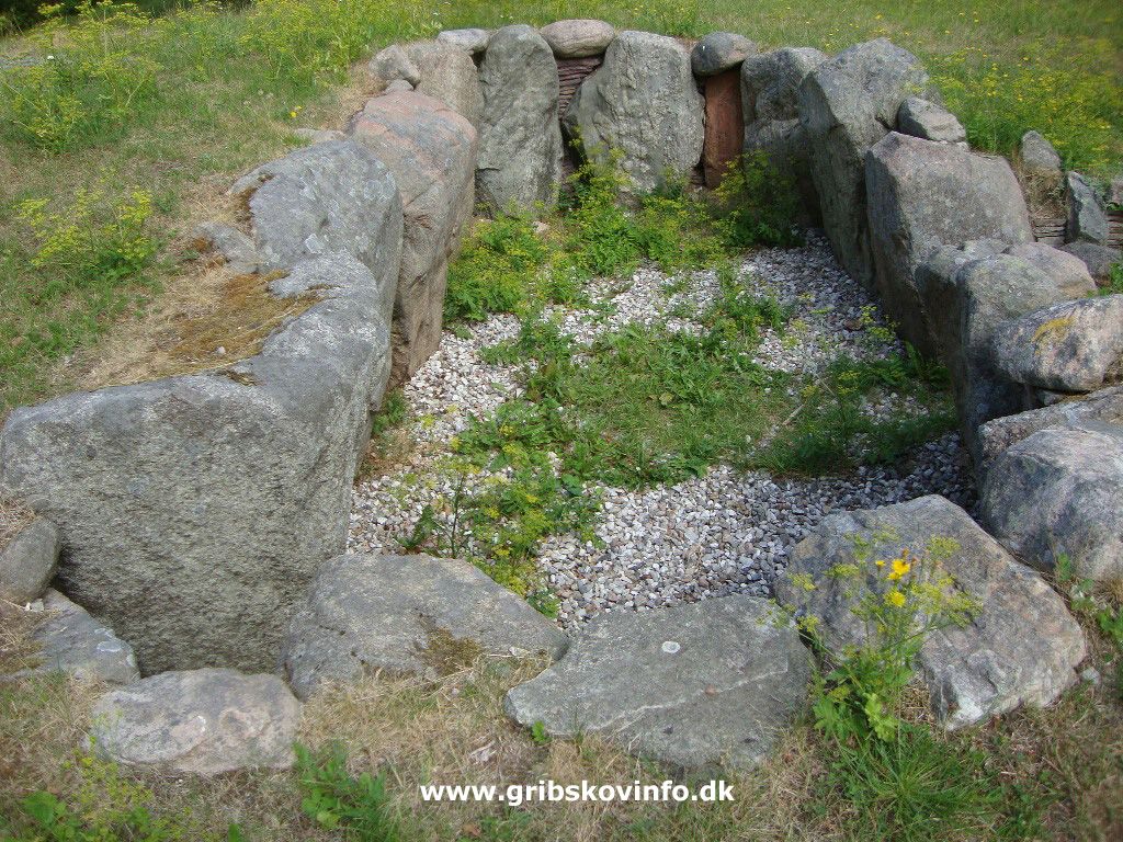 Mor Gribs Hule — photo 2