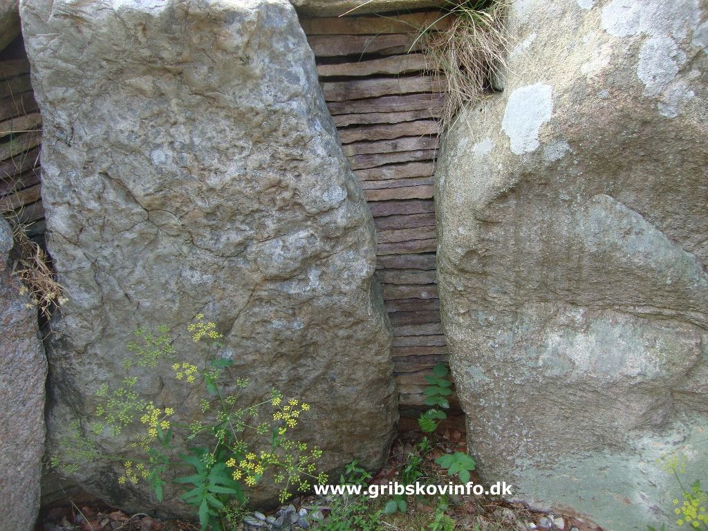 Mor Gribs Hule — photo 5