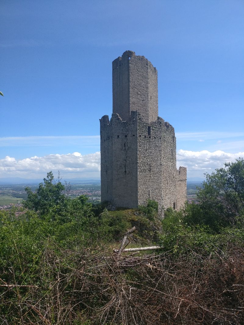 Château de l'ortenbourg