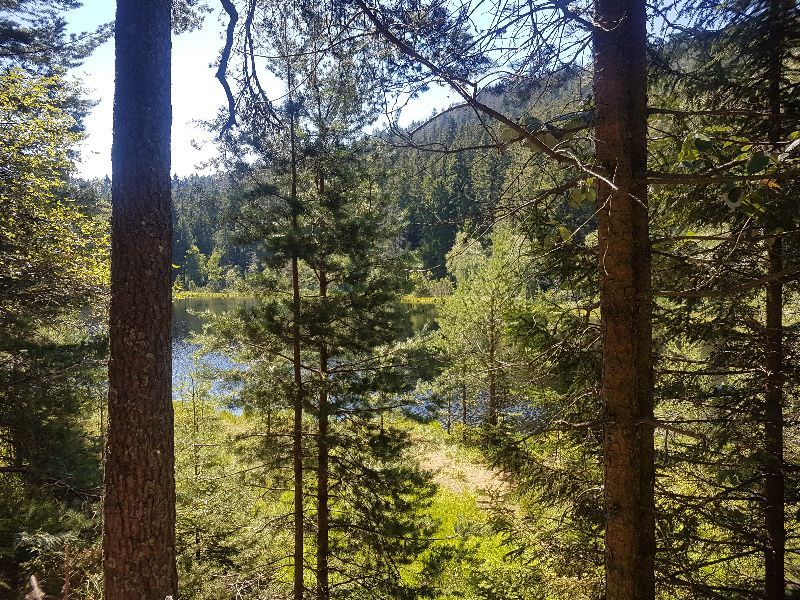 Le Herrenwieser see — photo 2