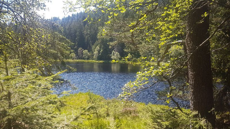 Le Herrenwieser see